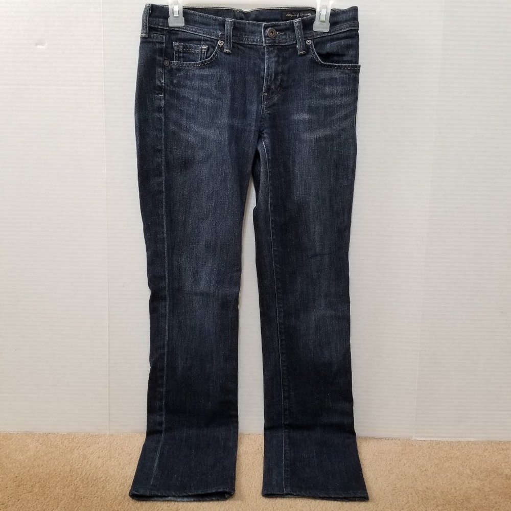 Citizens Of Humanity jeans 29 Chain Link #177 Ava 177-104 straight leg denim